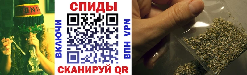 купить  сайты  Пересвет  БУТИРАТ буратино 