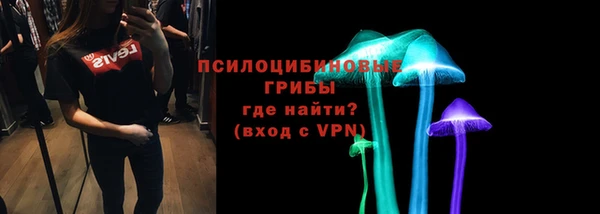PSILOCYBIN Армянск