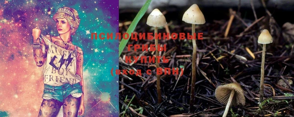 PSILOCYBIN Армянск