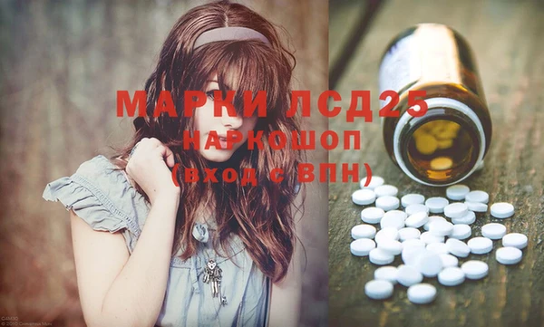 PSILOCYBIN Армянск