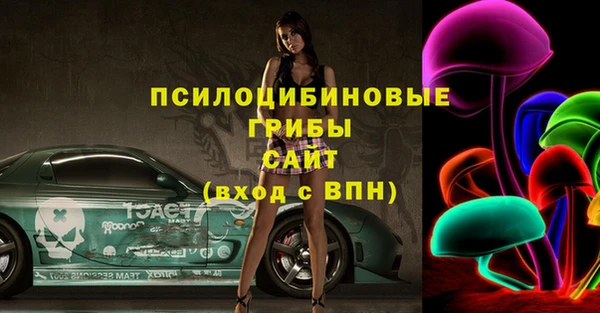 PSILOCYBIN Армянск