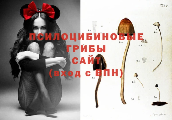 бошки Арсеньев